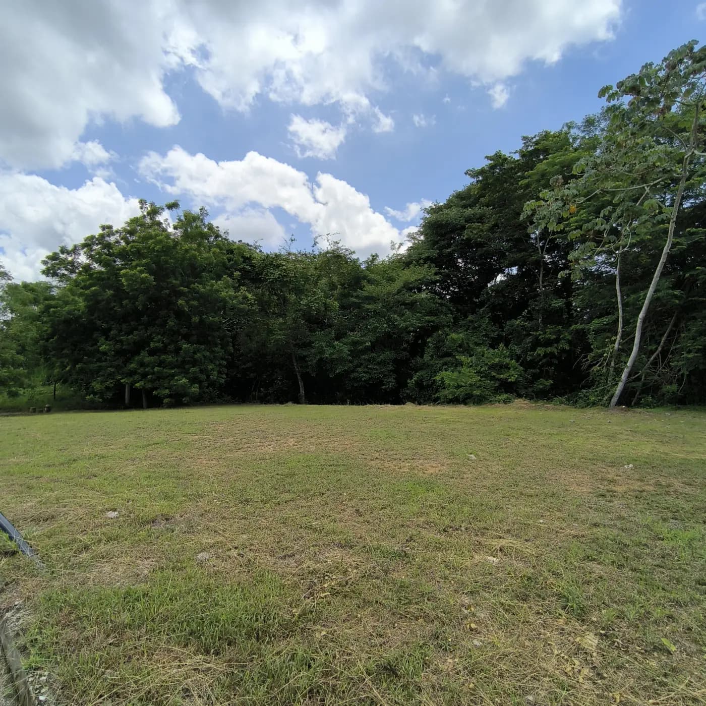 Lote Sector Platino — imagen 2