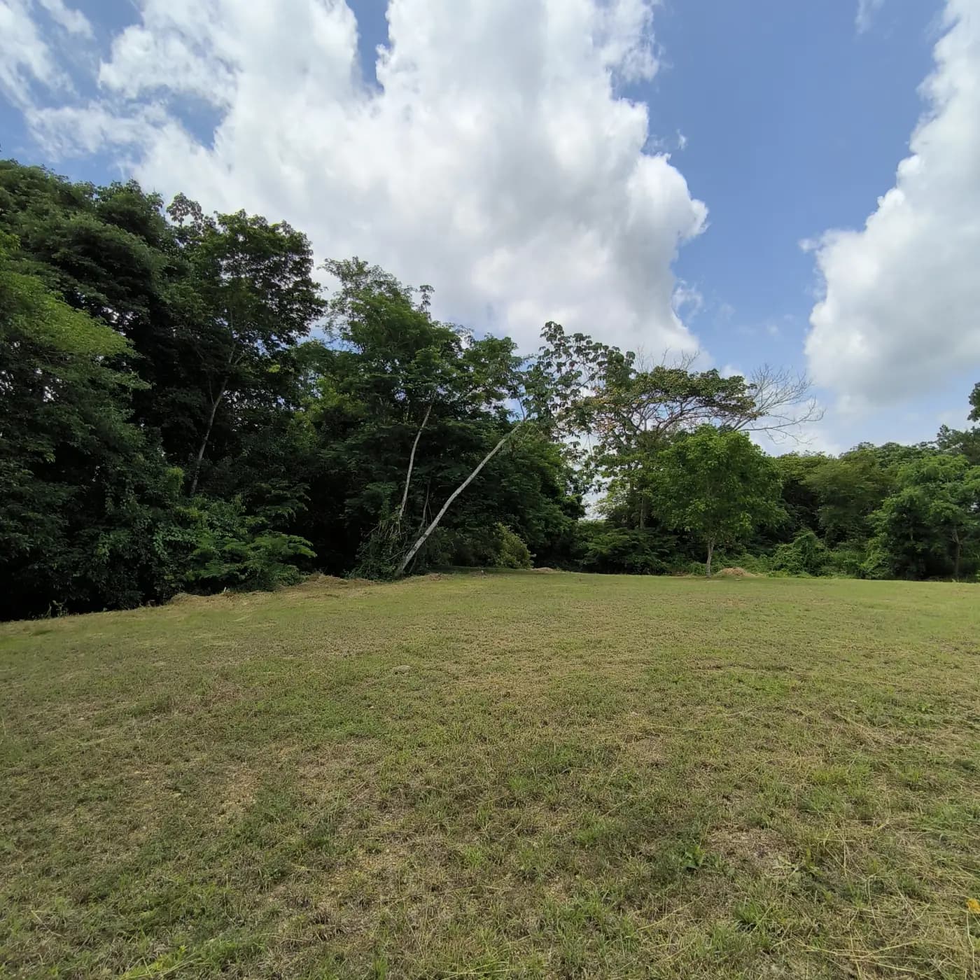 Lote Sector Platino — imagen 3