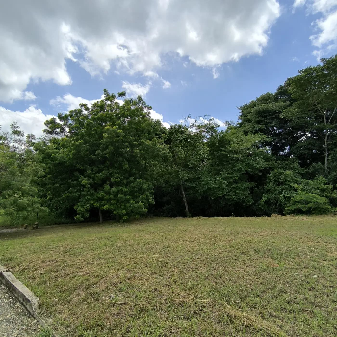 Lote Sector Platino — imagen 4