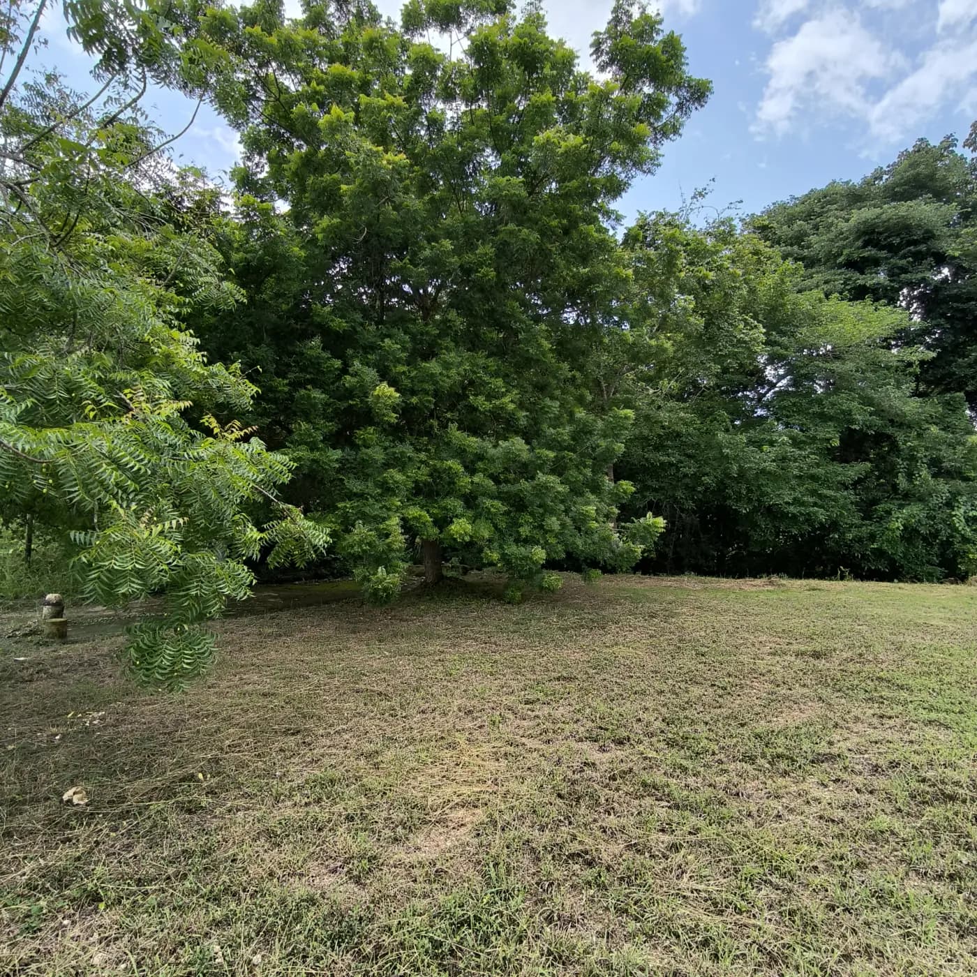 Lote Sector Platino — imagen 5