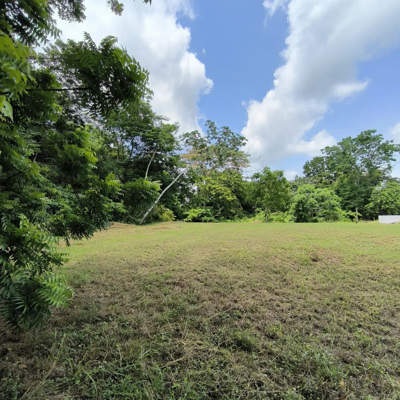 Lote Sector Platino — imagen 6