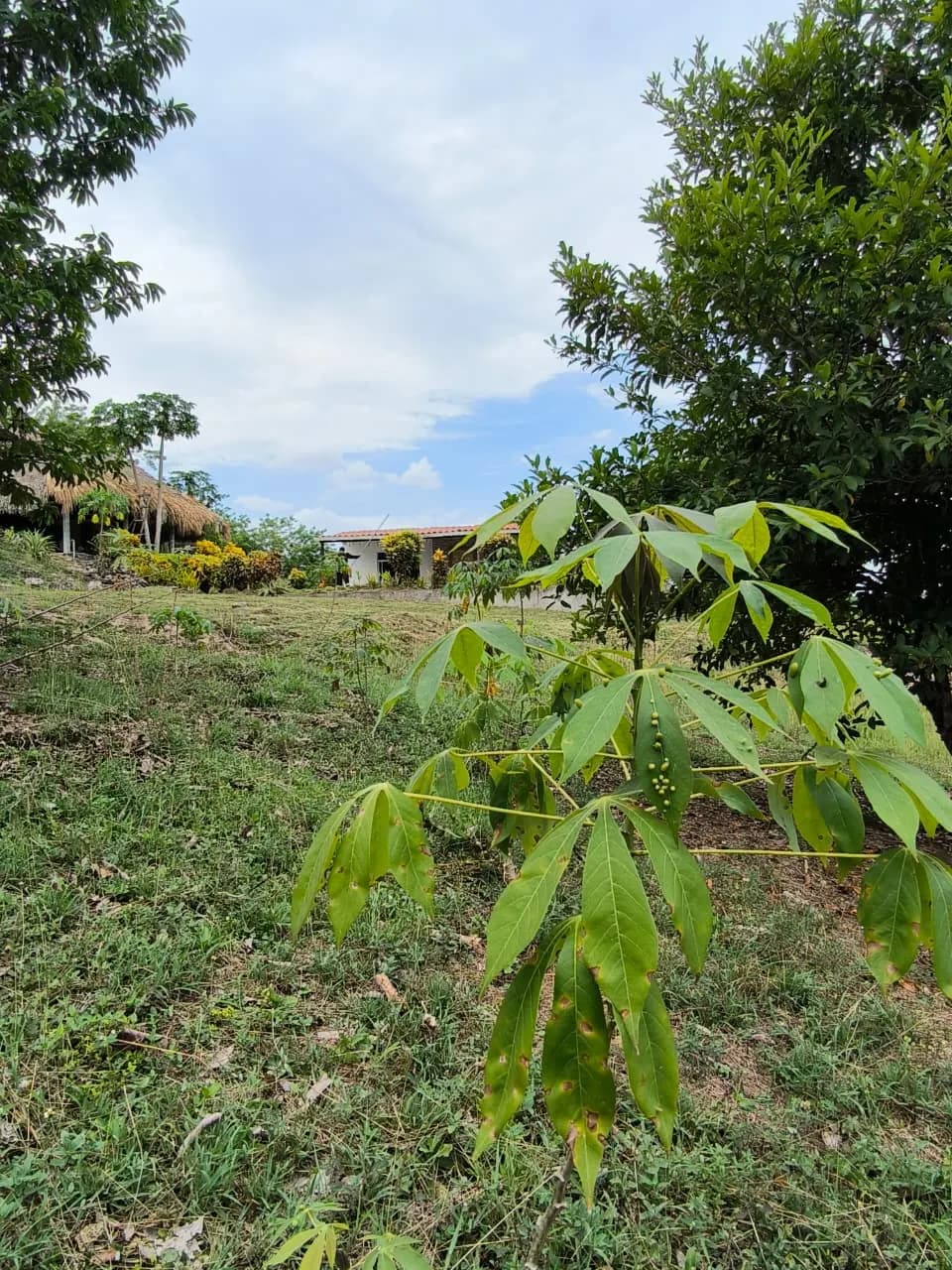 Casa Finca Villas del Palmar — imagen 4