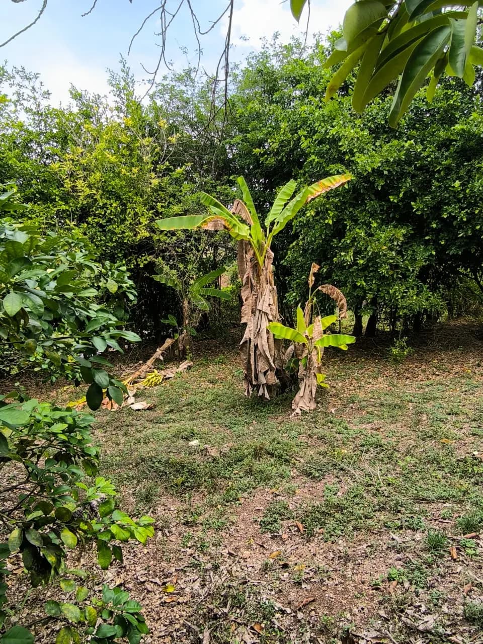 Casa Finca Villas del Palmar — imagen 10