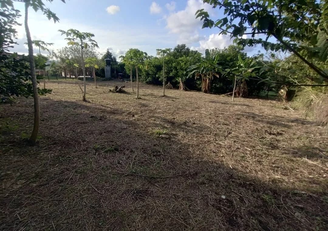 Lote Sector Gold — imagen 2
