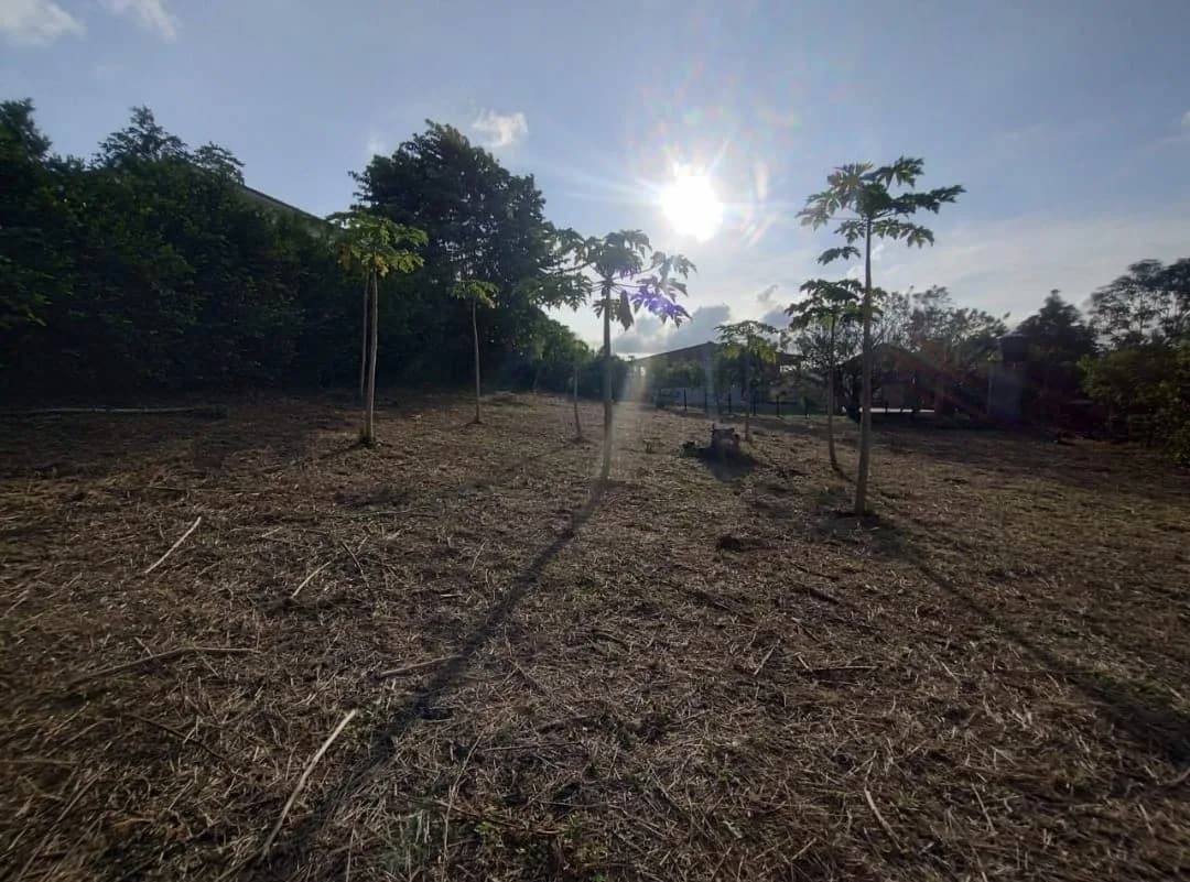 Lote Sector Gold — imagen 3