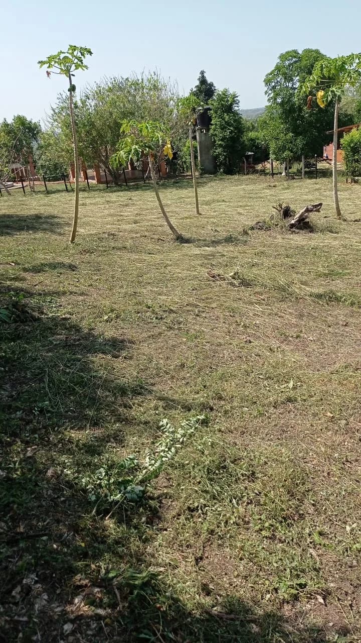 Lote Sector Gold — imagen 4